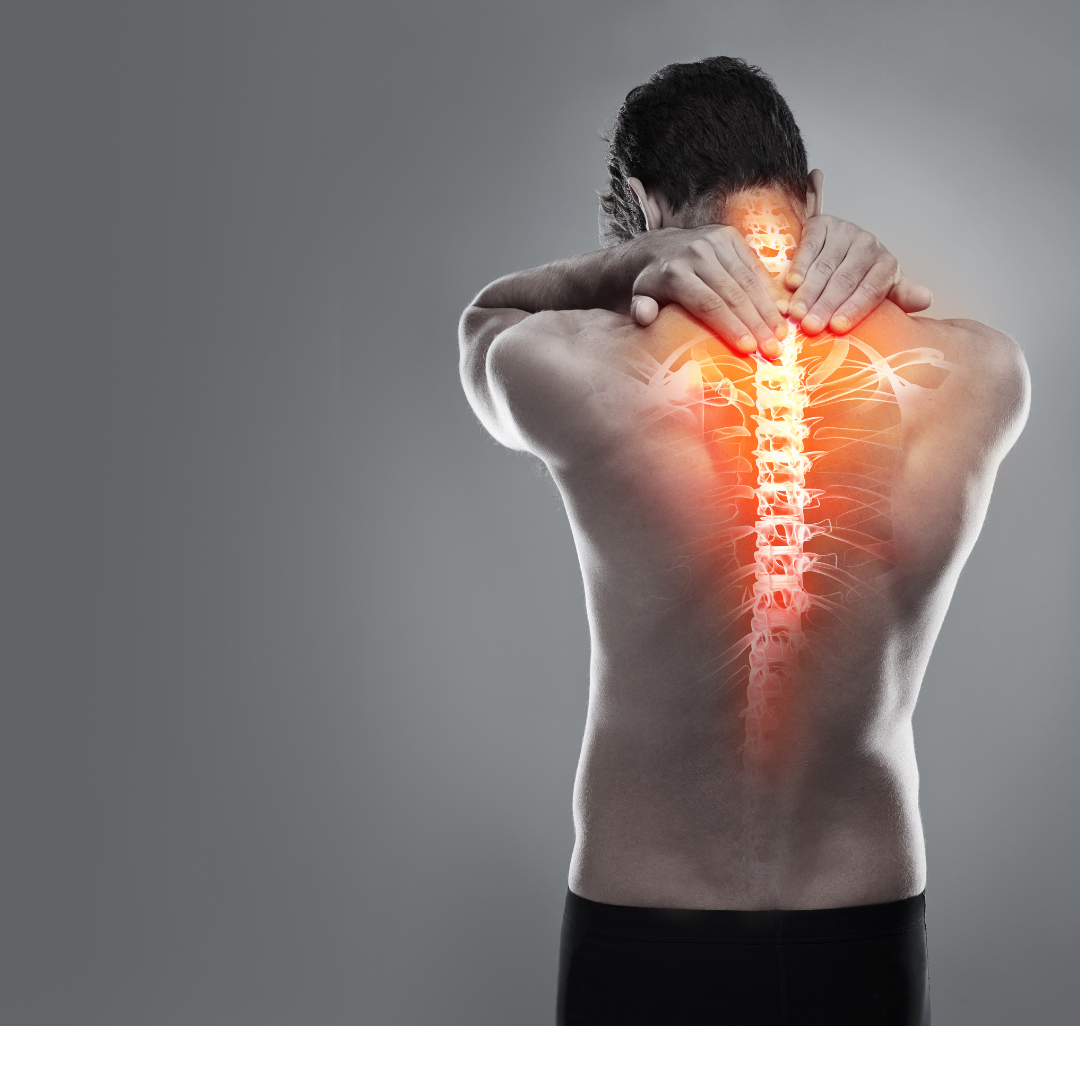 Chiropractic services focused on spinal health and natural pain relief